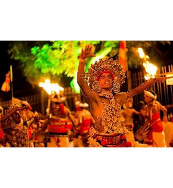 НОВЫЙ ГОД И МЕДОВЫЙ МЕСЯЦ НА ШРИ-ЛАНКЕ 